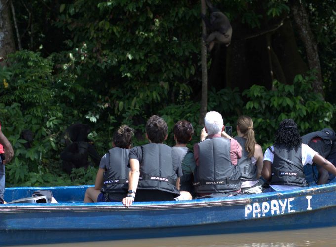 300+ Tours & Activities in Cameroon