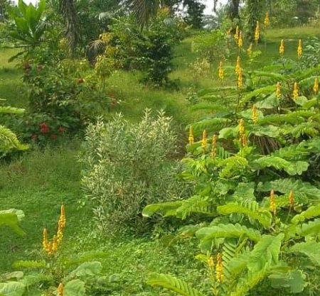 300+ Tours & Activities in Cameroon