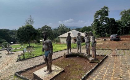 300+ Tours & Activities in Cameroon