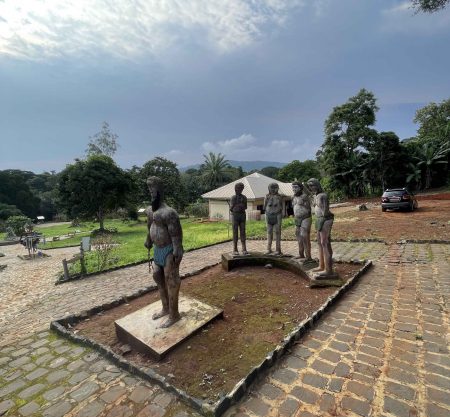 300+ Tours & Activities in Cameroon