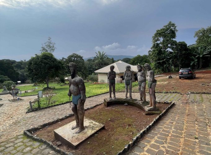 300+ Tours & Activities in Cameroon