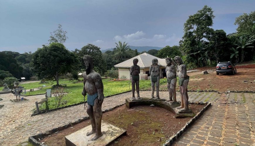 300+ Tours & Activities in Cameroon