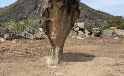 300+ Tours & Activities in Cameroon