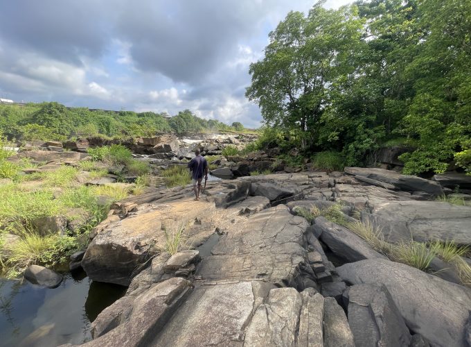 300+ Tours & Activities in Cameroon