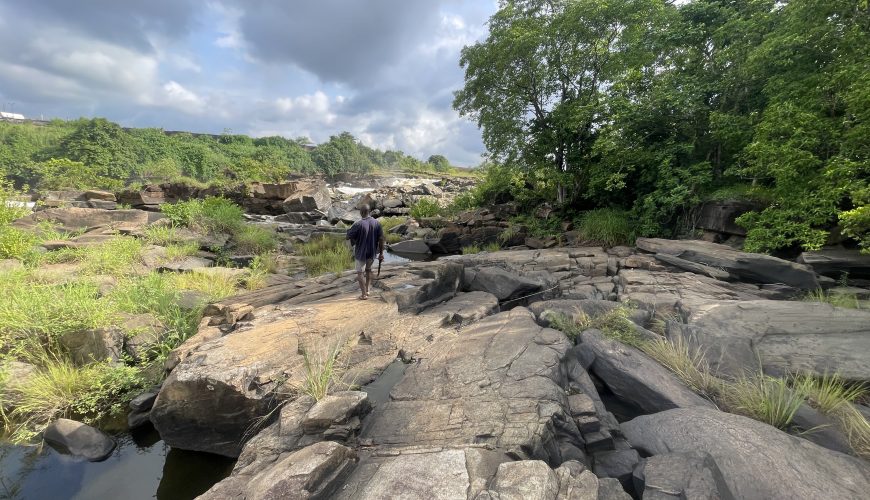 300+ Tours & Activities in Cameroon