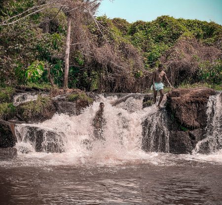 300+ Tours & Activities in Cameroon
