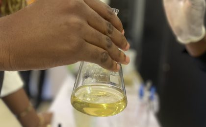 300+ Tours & Activities in Cameroon