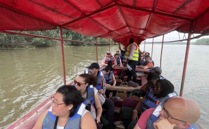 300+ Tours & Activities in Cameroon