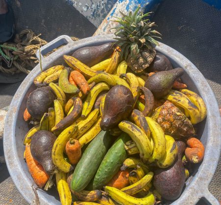 300+ Tours & Activities in Cameroon