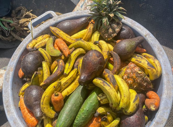 300+ Tours & Activities in Cameroon