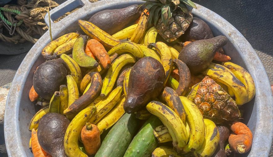 300+ Tours & Activities in Cameroon