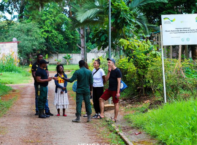 300+ Tours & Activities in Cameroon
