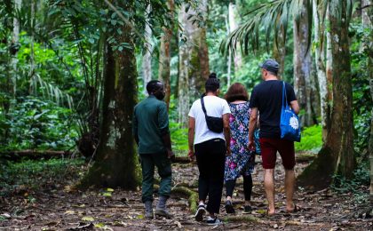 300+ Tours & Activities in Cameroon