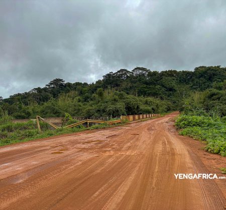300+ Tours & Activities in Cameroon