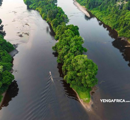 300+ Tours & Activities in Cameroon