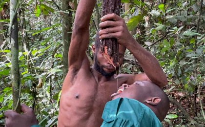 300+ Tours & Activities in Cameroon