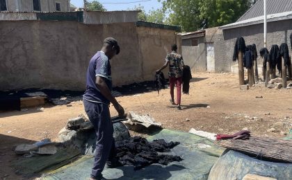 300+ Tours & Activities in Cameroon