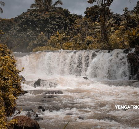 300+ Tours & Activities in Cameroon