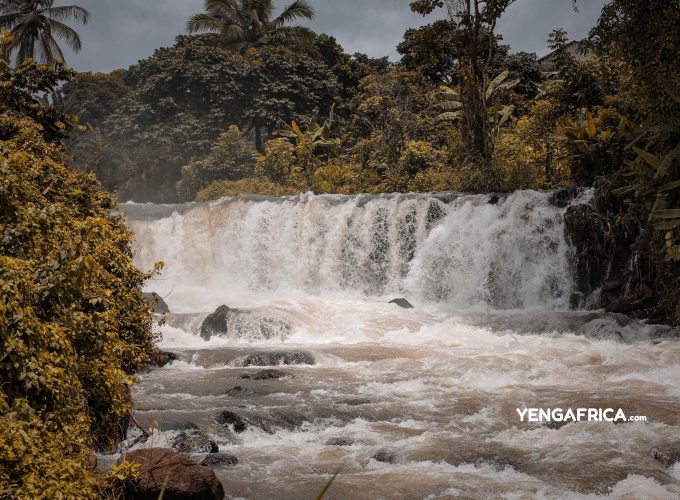 300+ Tours & Activities in Cameroon