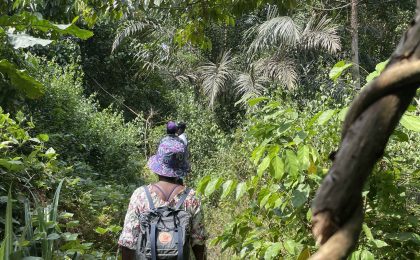 300+ Tours & Activities in Cameroon