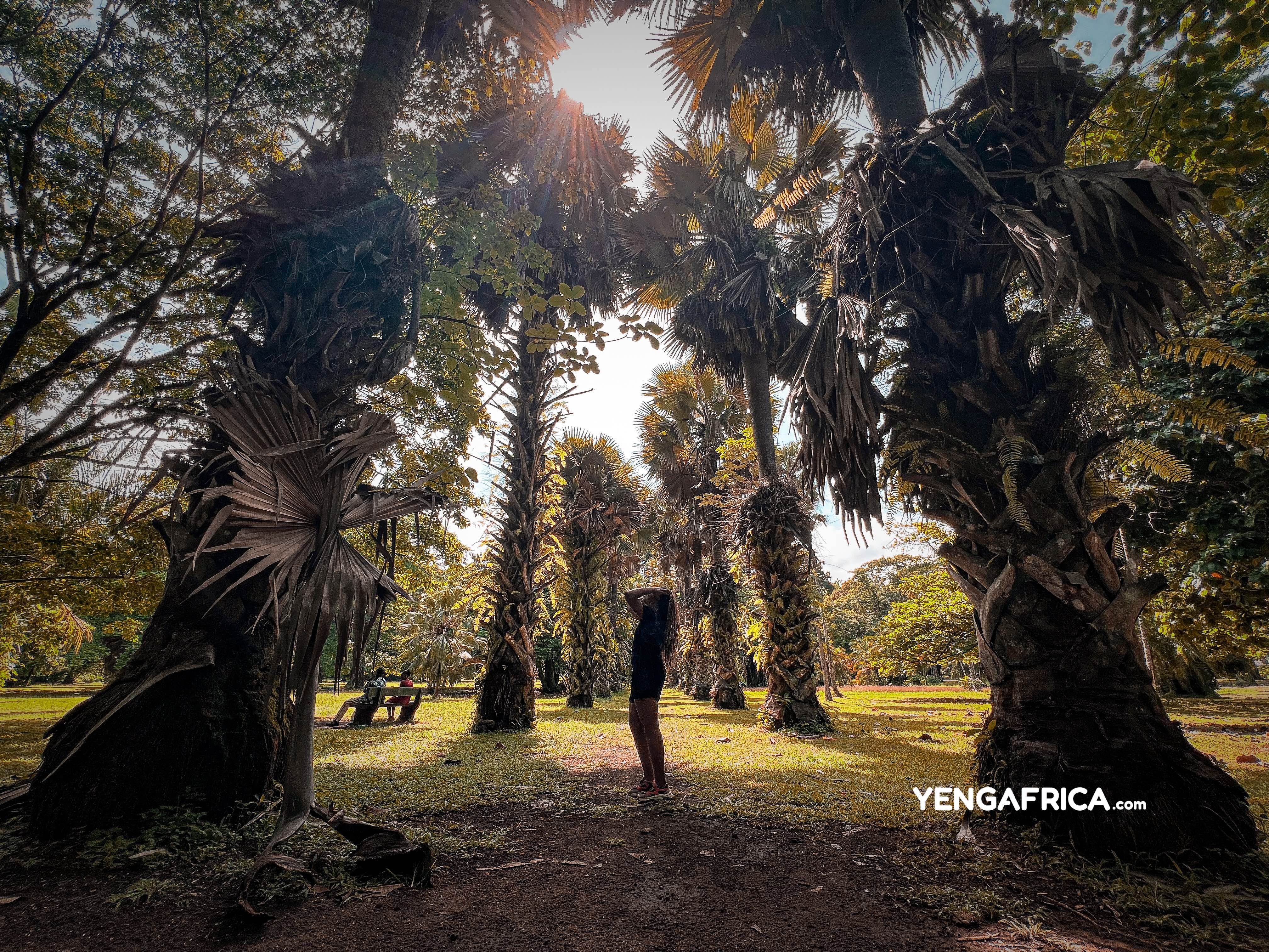 Solo female traveler on a day trip in Limbe during a guided tour of the Limbe botanic garden - YENGAFRICA