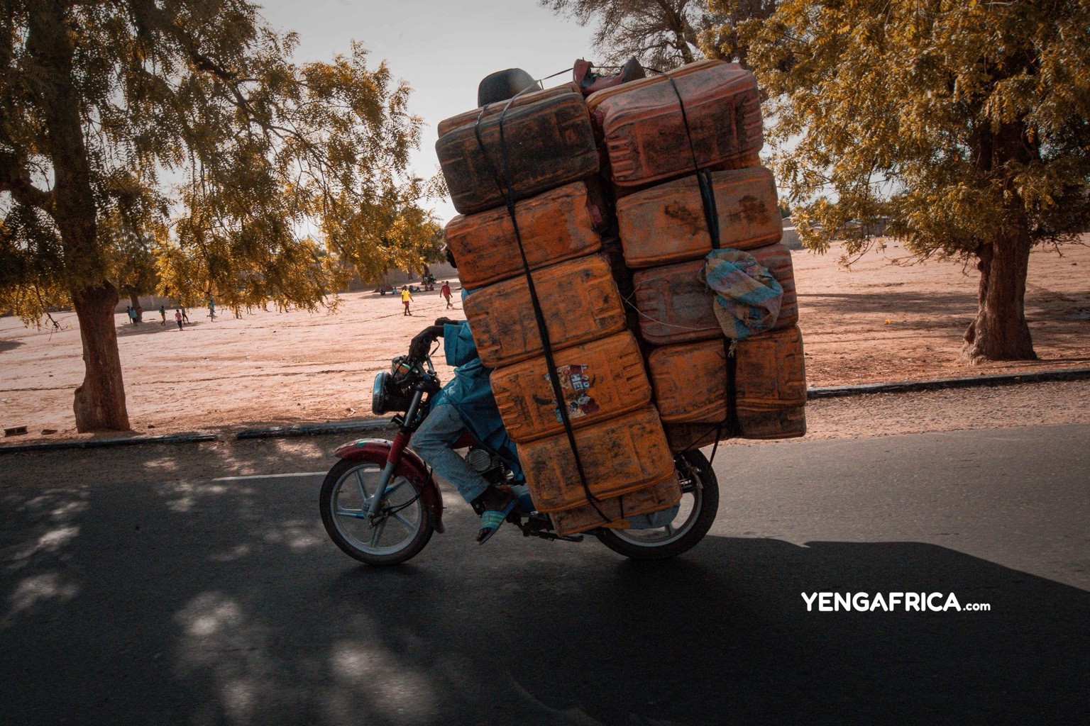 Bike transporter in Maroua, on his way to the market.