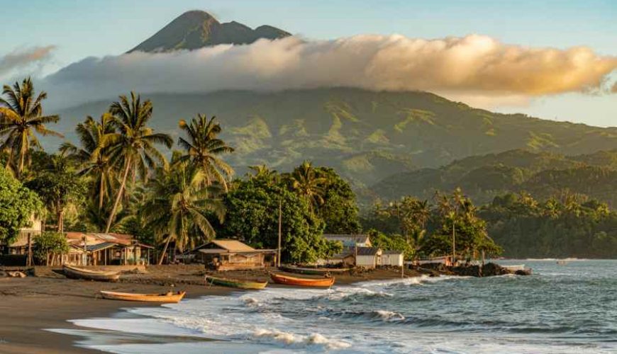 300+ Tours & Activities in Cameroon