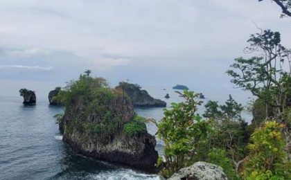 300+ Tours & Activities in Cameroon