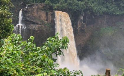 300+ Tours & Activities in Cameroon