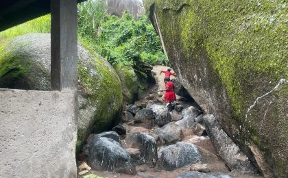 300+ Tours & Activities in Cameroon