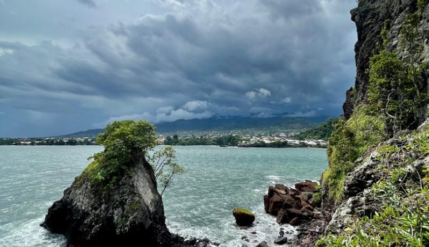 300+ Tours & Activities in Cameroon