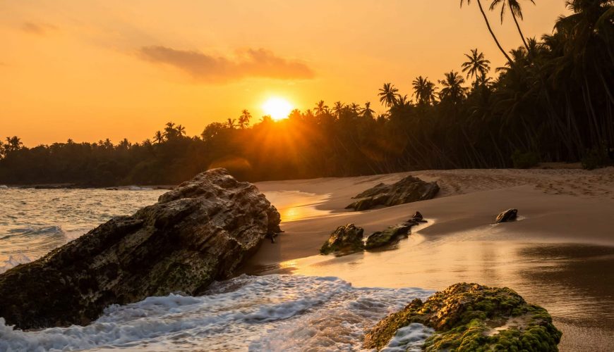 300+ Tours & Activities in Cameroon