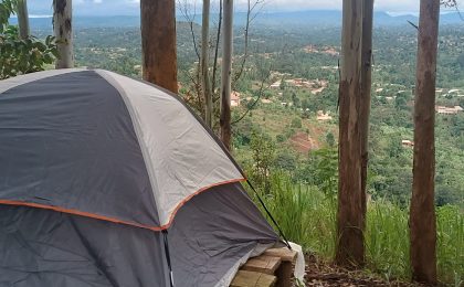 300+ Tours & Activities in Cameroon