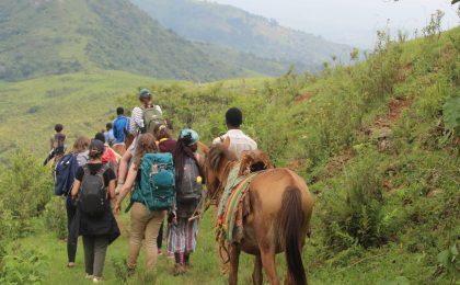 300+ Tours & Activities in Cameroon