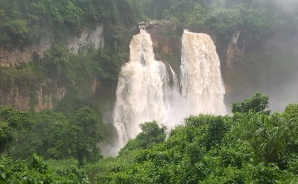 300+ Tours & Activities in Cameroon