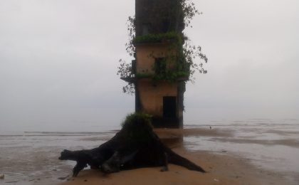 300+ Tours & Activities in Cameroon