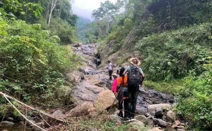 300+ Tours & Activities in Cameroon