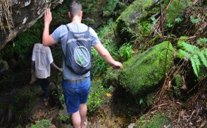 300+ Tours & Activities in Cameroon