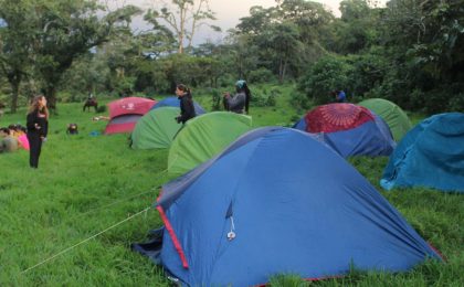 300+ Tours & Activities in Cameroon