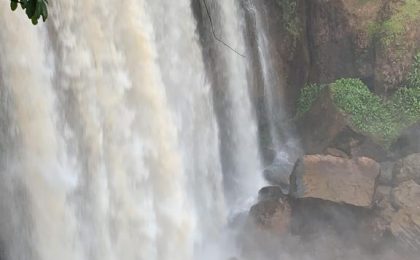 300+ Tours & Activities in Cameroon