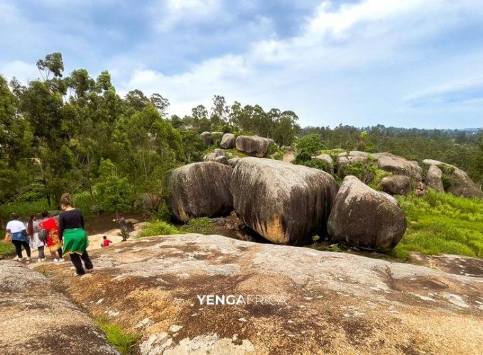 300+ Tours & Activities in Cameroon