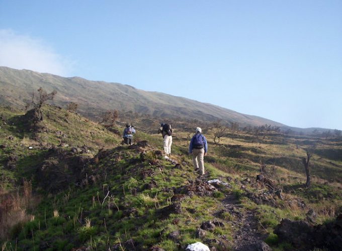 300+ Tours & Activities in Cameroon