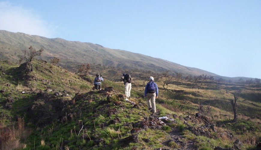Hiking Mount Cameroon