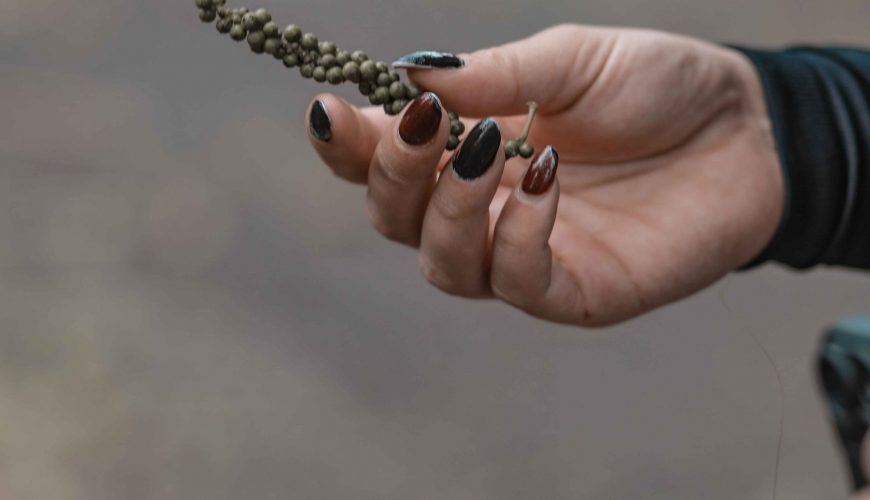 Visite de la Poivrerai de penja